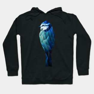 Low Poly Blue Jay Hoodie